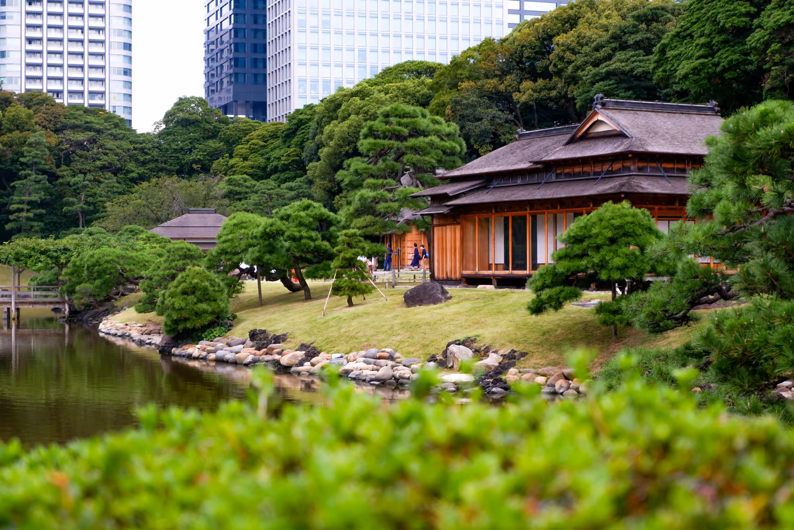 Hama-rikyu