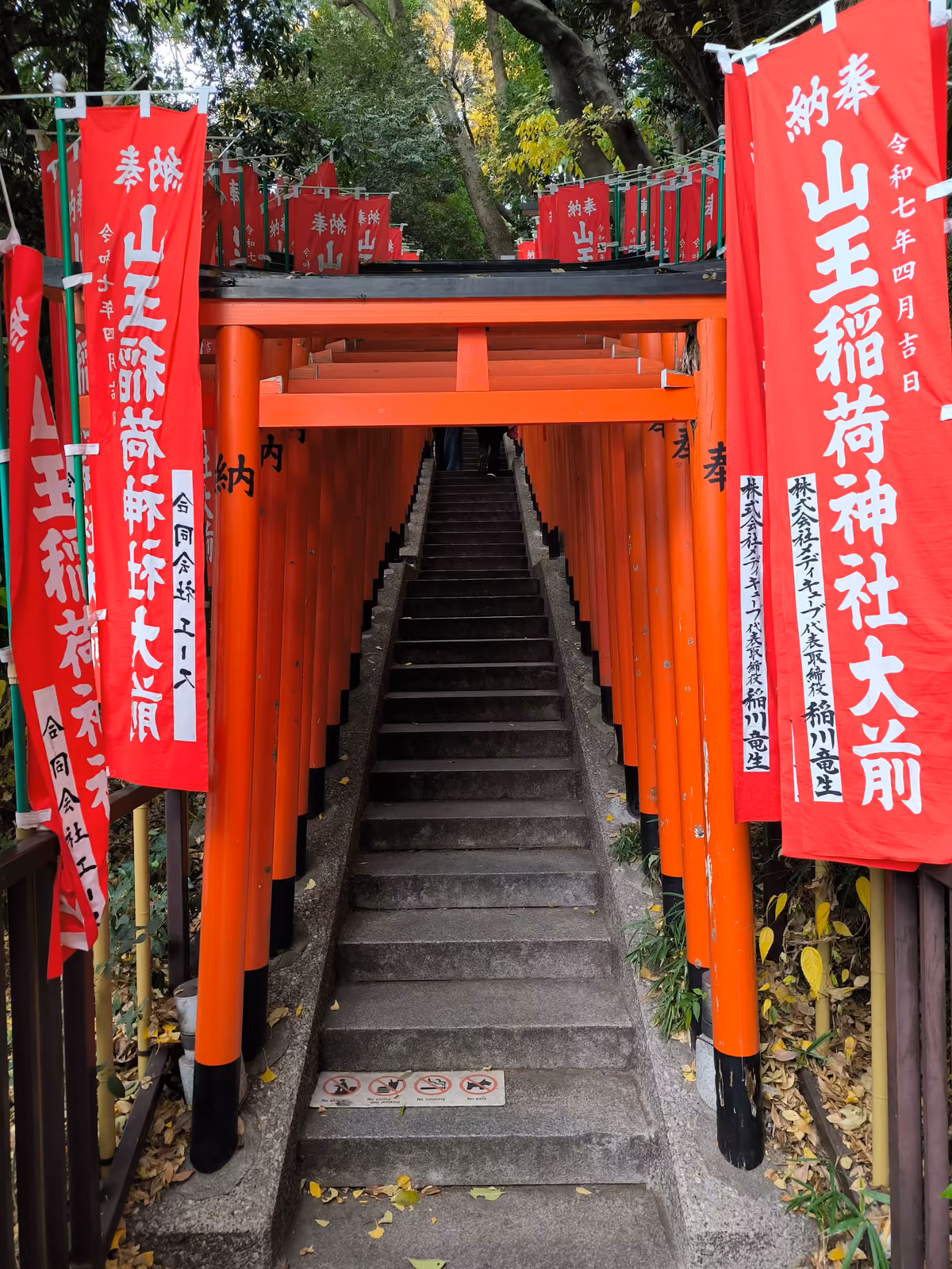 L'allée de torii vermillon du Hie-jinja, encadrée de bannières rouges, qui gravit la colline par un escalier de pierre