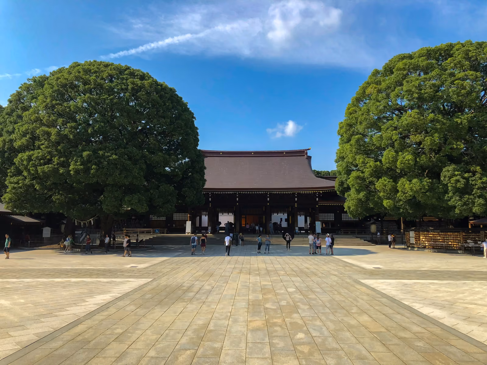 La cour pavée du sanctuaire Meiji-jingu et son hall principal, encadré par deux grands camphriers, sous un ciel bleu