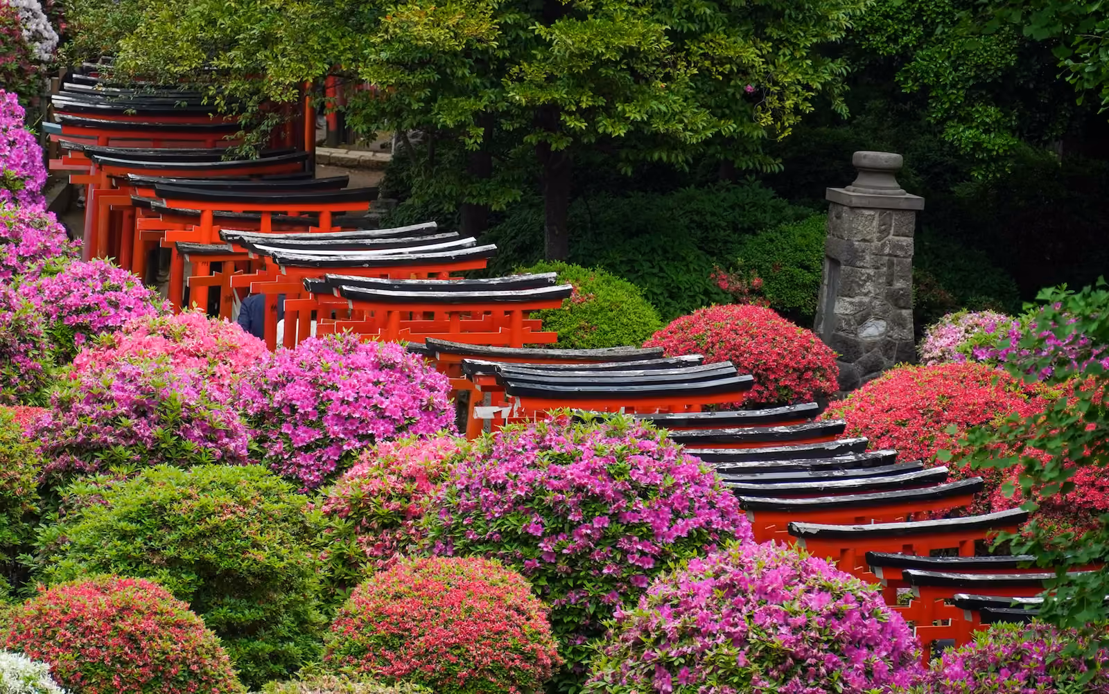 Nezu-jinja