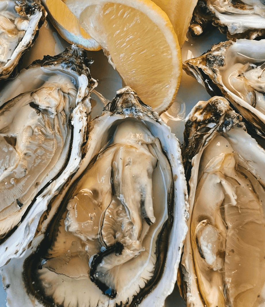 Plateau d’huîtres fraîches disposées autour de quartiers de citron, mettant en valeur leur texture brillante et leurs coquilles détaillées.