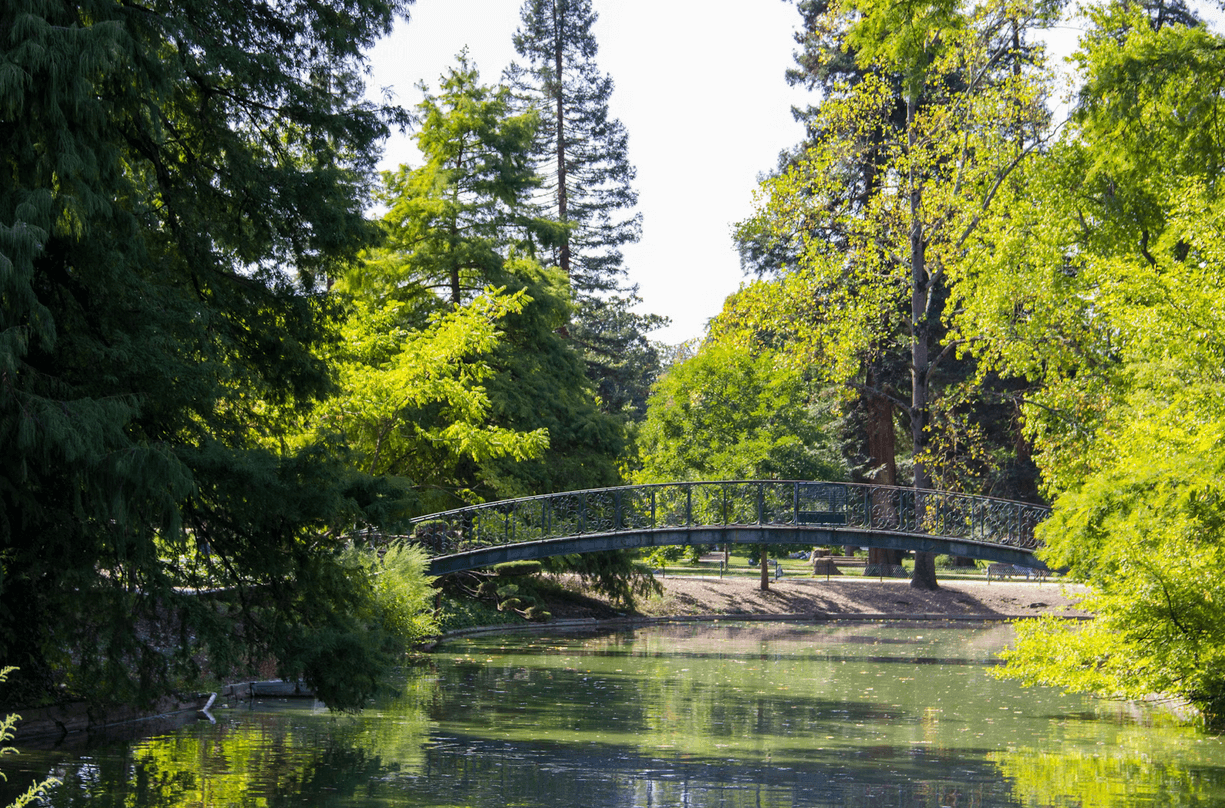 Pont en fer au-dessus d'un étang entouré d'arbres verdoyants dans le Parc Bordelais