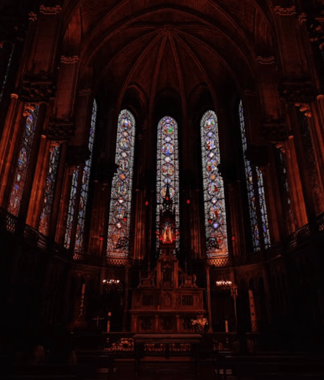 La Cathédrale Notre-Dame-de-la-Treille de Lille