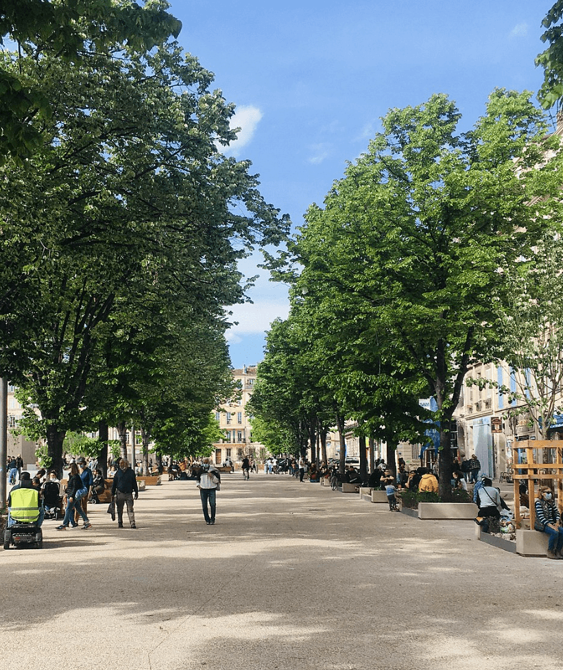 La place Jean Jaurès et son allée d'arbres