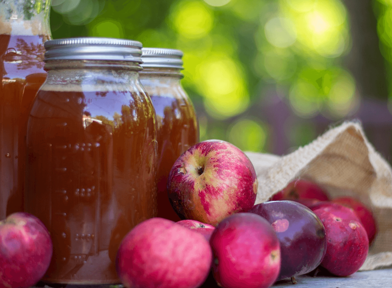 Bocaux de cidre disposés sur des pommes dans la nature.