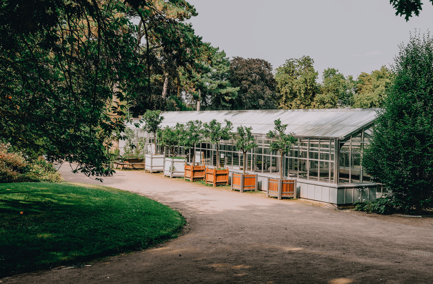 Serre du Jardin des Plantes de Rouen, accessible par une allée bordée d’arbres.