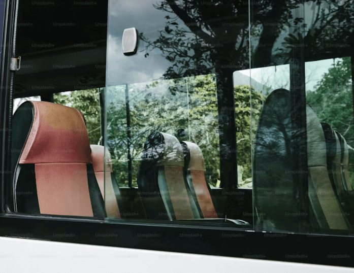 Vue de l’intérieur d’un bus à travers la vitre, avec de la végétation visible à l’extérieur.