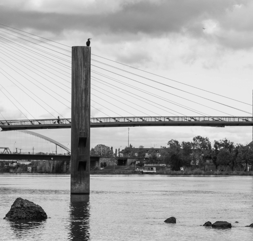 Photo en noir et blanc de la passerelle, reliant les deux rives, proche du jardin des deux rives