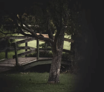 Un pont de bois sous des arbres dans une pleine